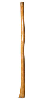 Gloss Finish Flared Didgeridoo (TW942)